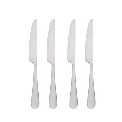 Food Network™ 4-pc. Classic Silver Dinner Knife Set