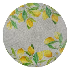 Food Network™ Braided Lemon Placemat
